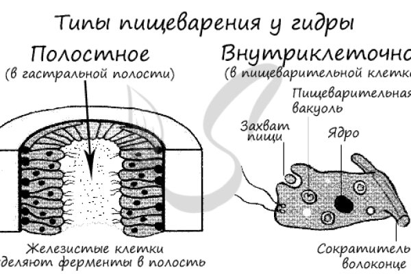 Где взять ссылку на кракен