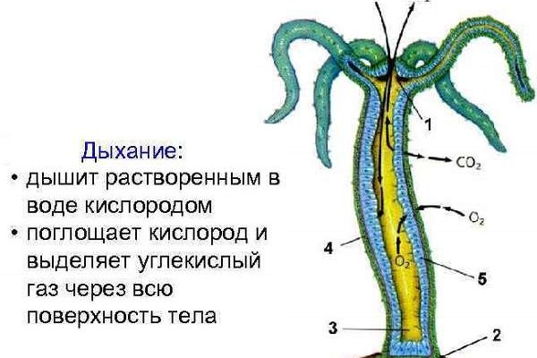 Кракен сайт зеркало рабочее